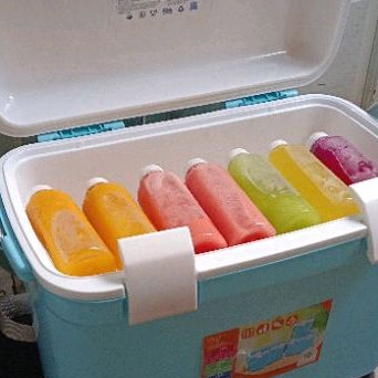 

Jus Segeer Passa Fnd