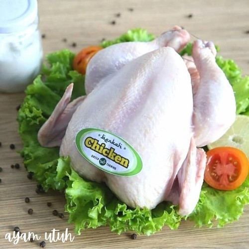 

Ayam Berkah Organik Probiotik 900-1000gr UTUH-Jakut