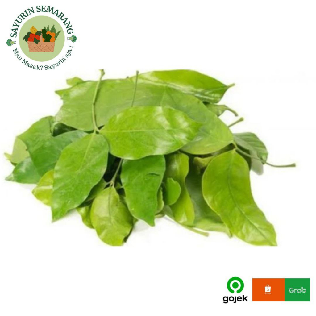 

daun melinjo