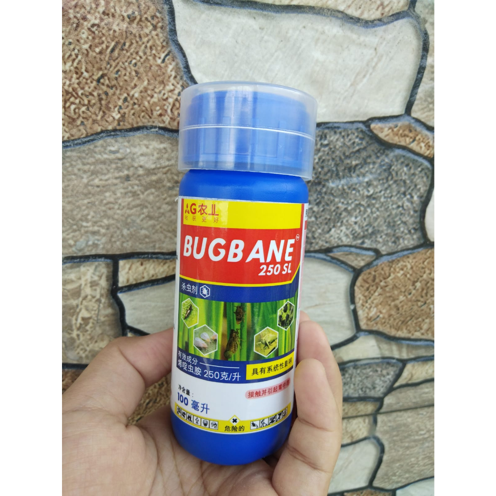 AMPUH BASMI HAMA WERENG KUPU PUTIH TRIPS GUREM | INSEKTISIDA PEMBASMI HAMA