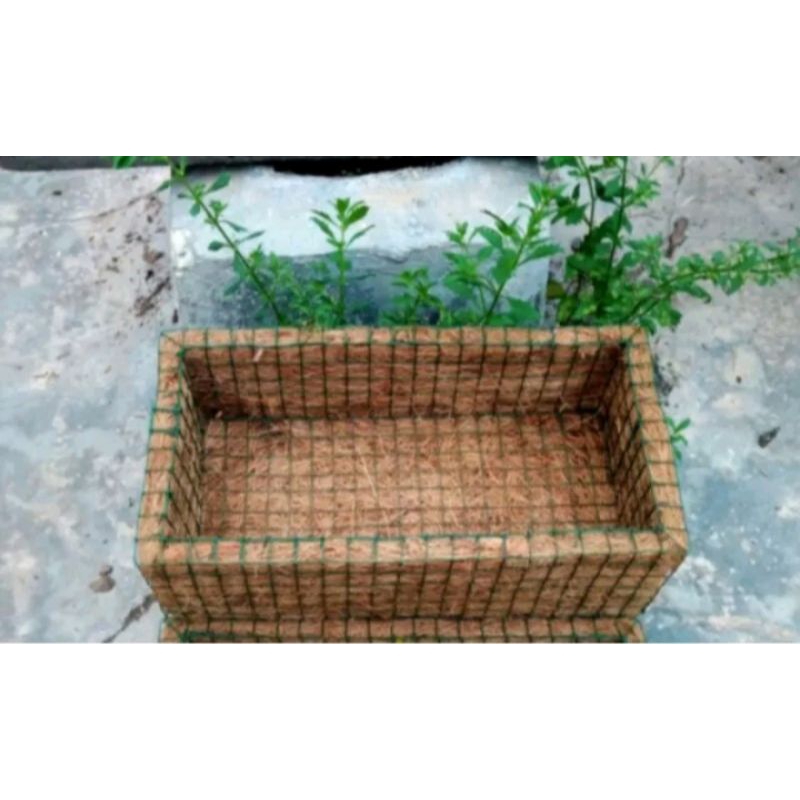 (COD)  Pot Persegi panjang UK jumbo