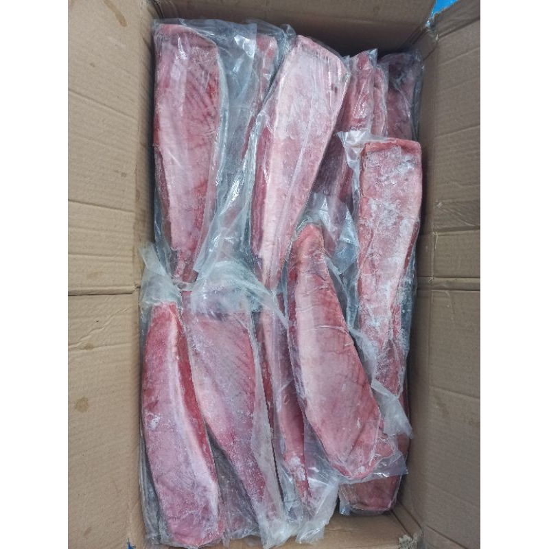 

Belly tuna size700up/1kg(65k)