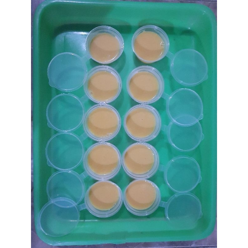 

Puding Sehat (Substitusi Susu Kedelai dan Penambahan Wortel)