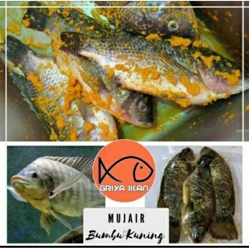 

IKAN MUJAIR bumbu kuning 500gr
