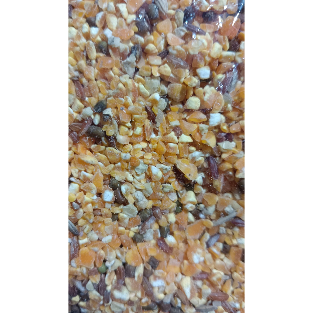 JAGUNG CAMPUR - PAKAN AYAM ,  BURUNG DAN  HAMSTER