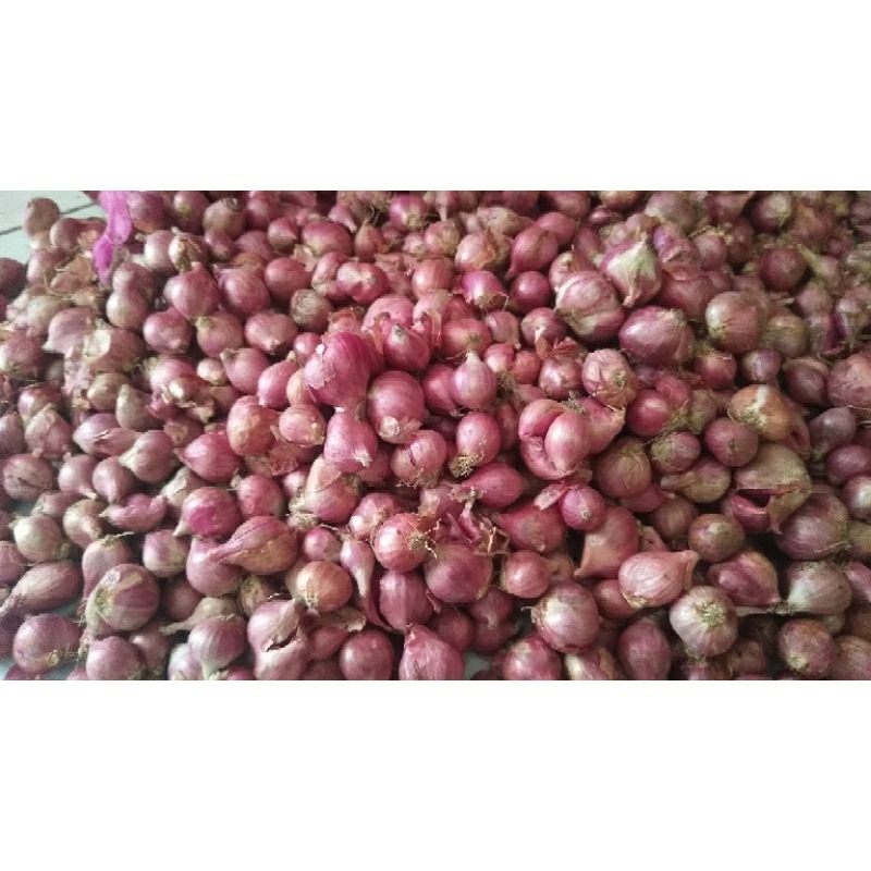 

BAWANG MERAH LOKAL CARUK BERSIH KEMASAN 1KG