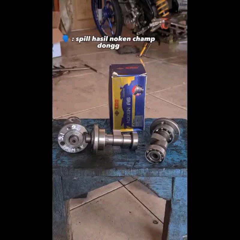 Noken as racing tiger