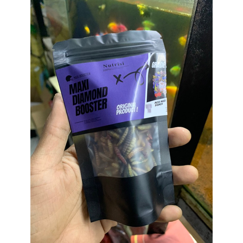 Maggot Kering BSF Super Premium Maxi Pro Extra Red Blue Grade A+ Pakan Ikan Channa Oscar Pebas Ikan 