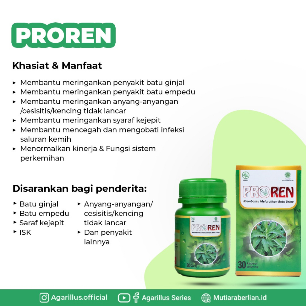 

Proren Mengobati batu Ginjal,Batu Urine,Batu empedu,asam urat Dll