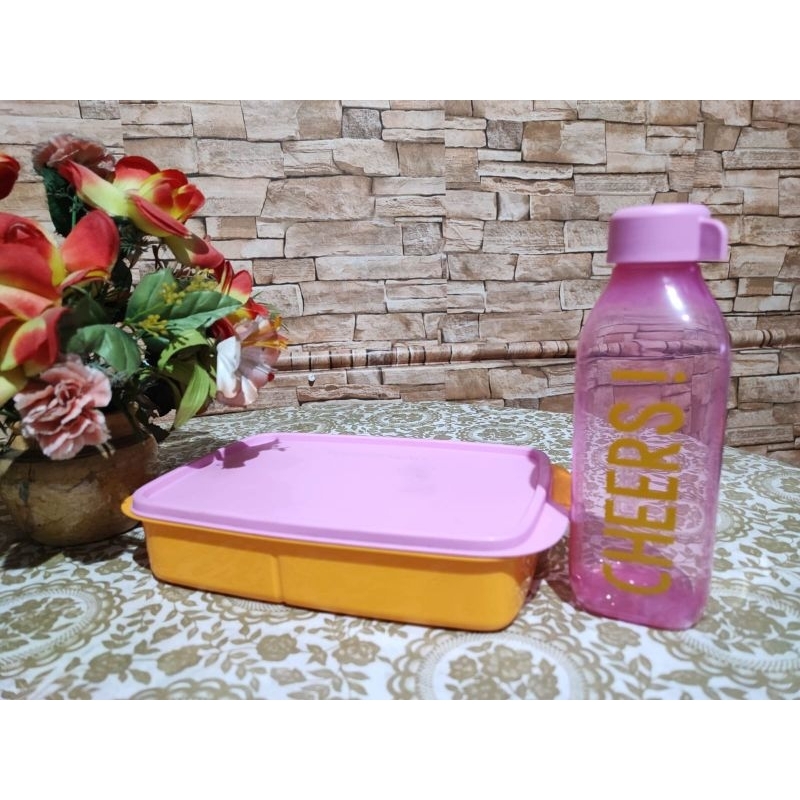 Tupperware Lolly Tup 1 L and ECO Bottle 500 ml