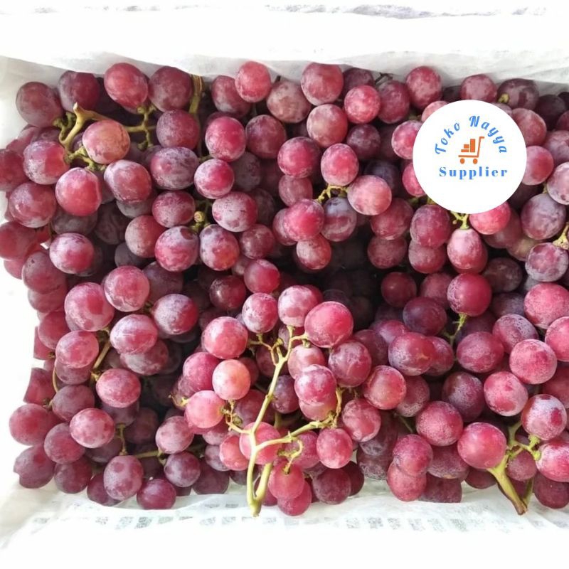 

Anggur Red Globe Merah China
