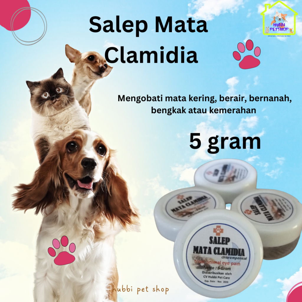 Obat Mata Kucing Clamidia - Salep Mata Kucing dan Anjing | Obat Mata Hewan Bernanah, Bengkak, Berair