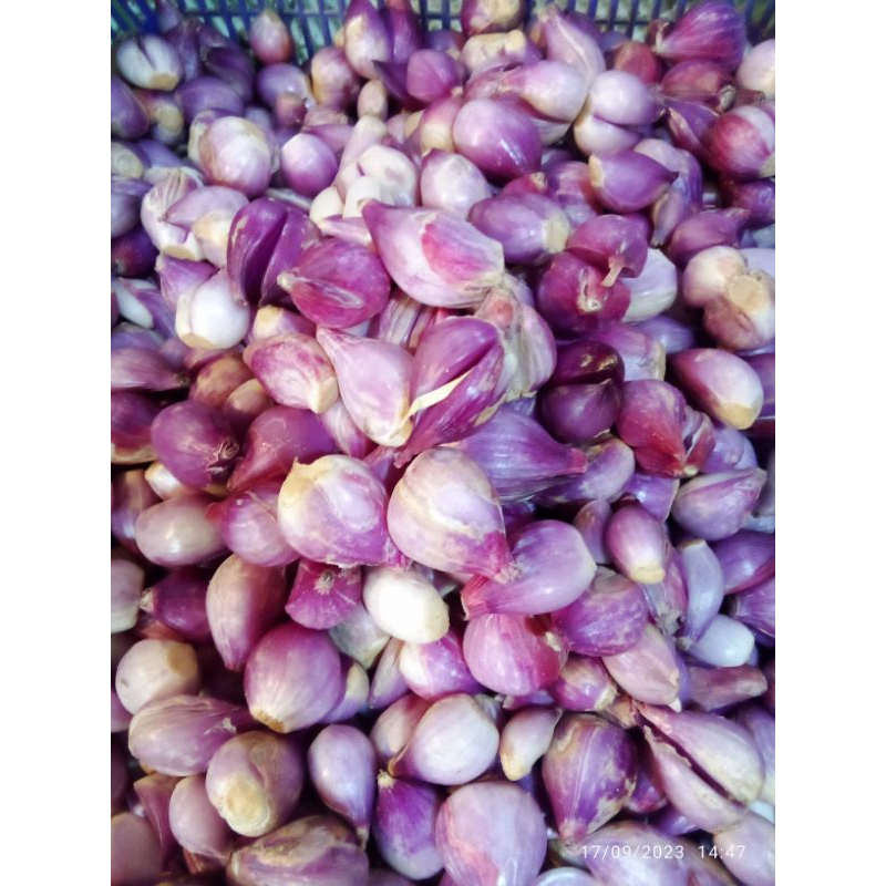 

bawang merah kupas presh 100gr