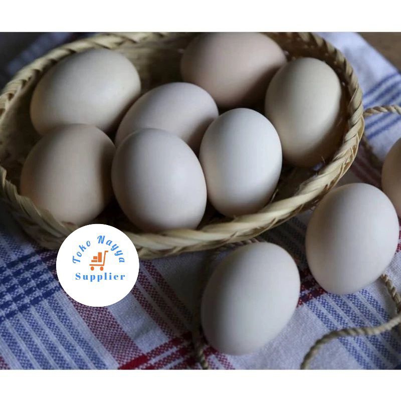 

Telur Ayam Kampung Omega Fresh