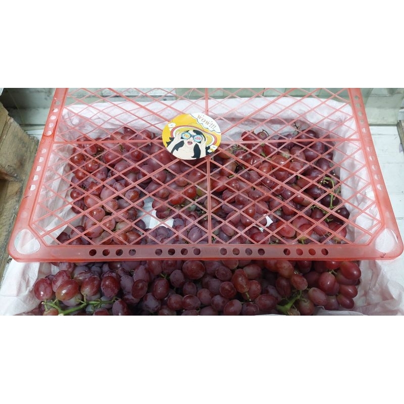 

Anggur Red Crismon 6 Kg / Keranjang