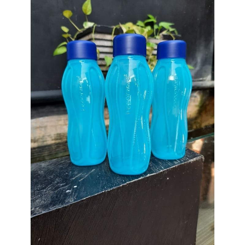 Tupperware Eco Bottle 310ml