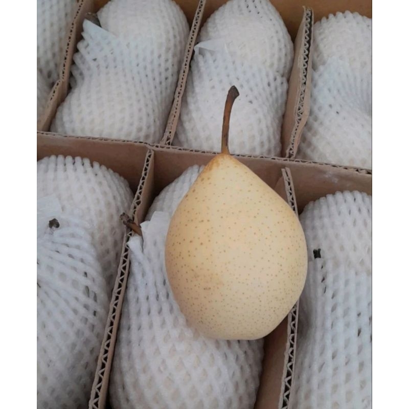 

Pear Ya Lie Per Kilo