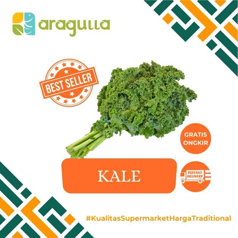 

Kale [Sayur - Sayuran Segar Instant / Express Surabaya] - Aragulla