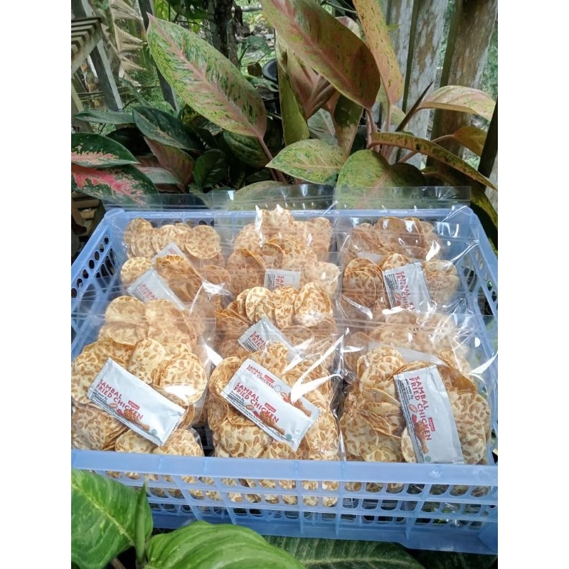 

Keripik Tempe