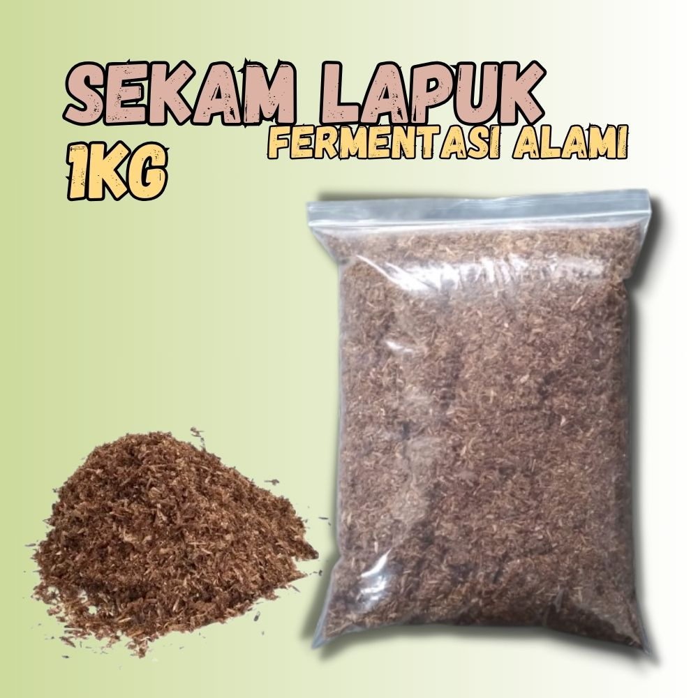Sekam Fermentasi/Sekam Lapuk