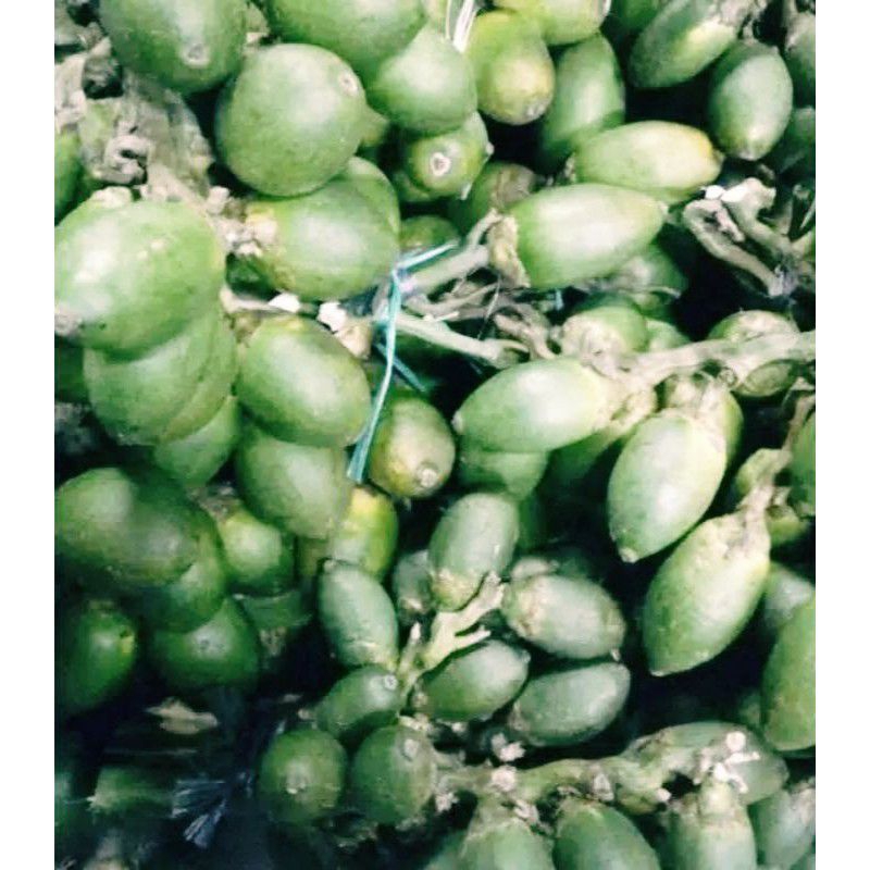 

BUAH PINANG / BUAH JAMBE ( MUDA ) OBAT HERBAL SEGAR 1 KG