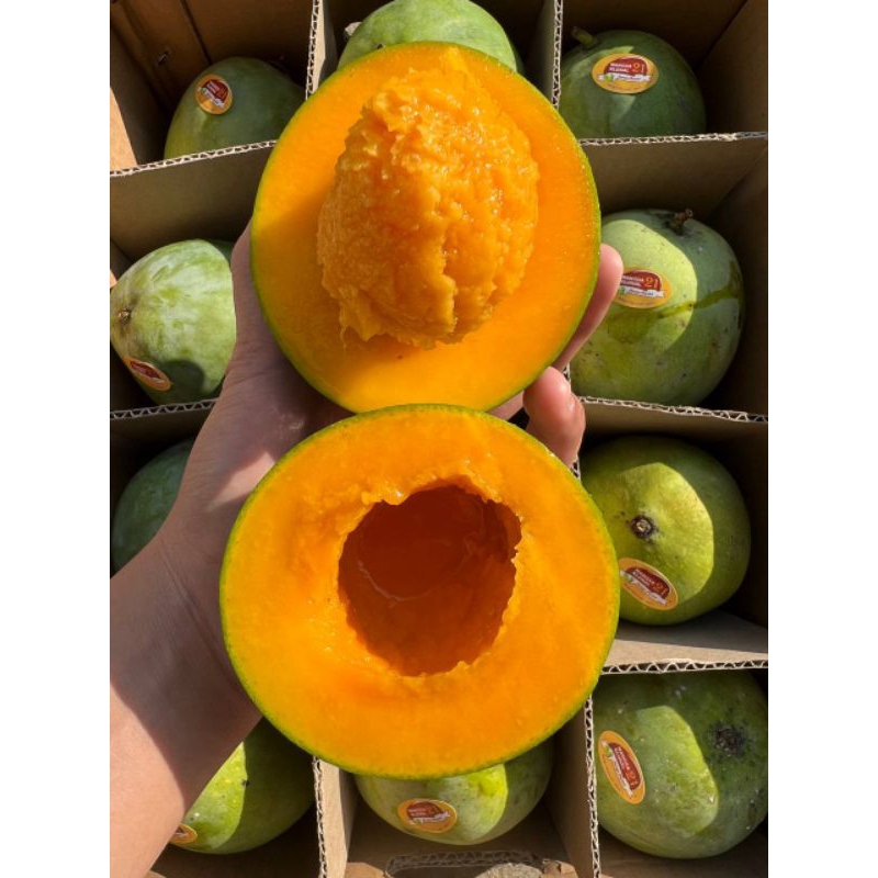 

MANGGA HARUMANIS SUPER 5KG.