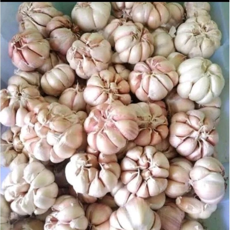 

bawang putih 1/2kg