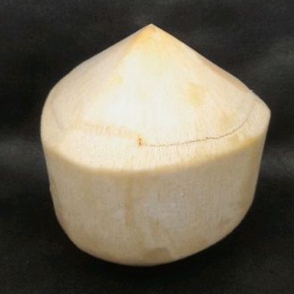 

Pudding Kelapa Ala Thai ( Kerucut / Diamond ) / Thai Coco Coconut / Kelapa Muda