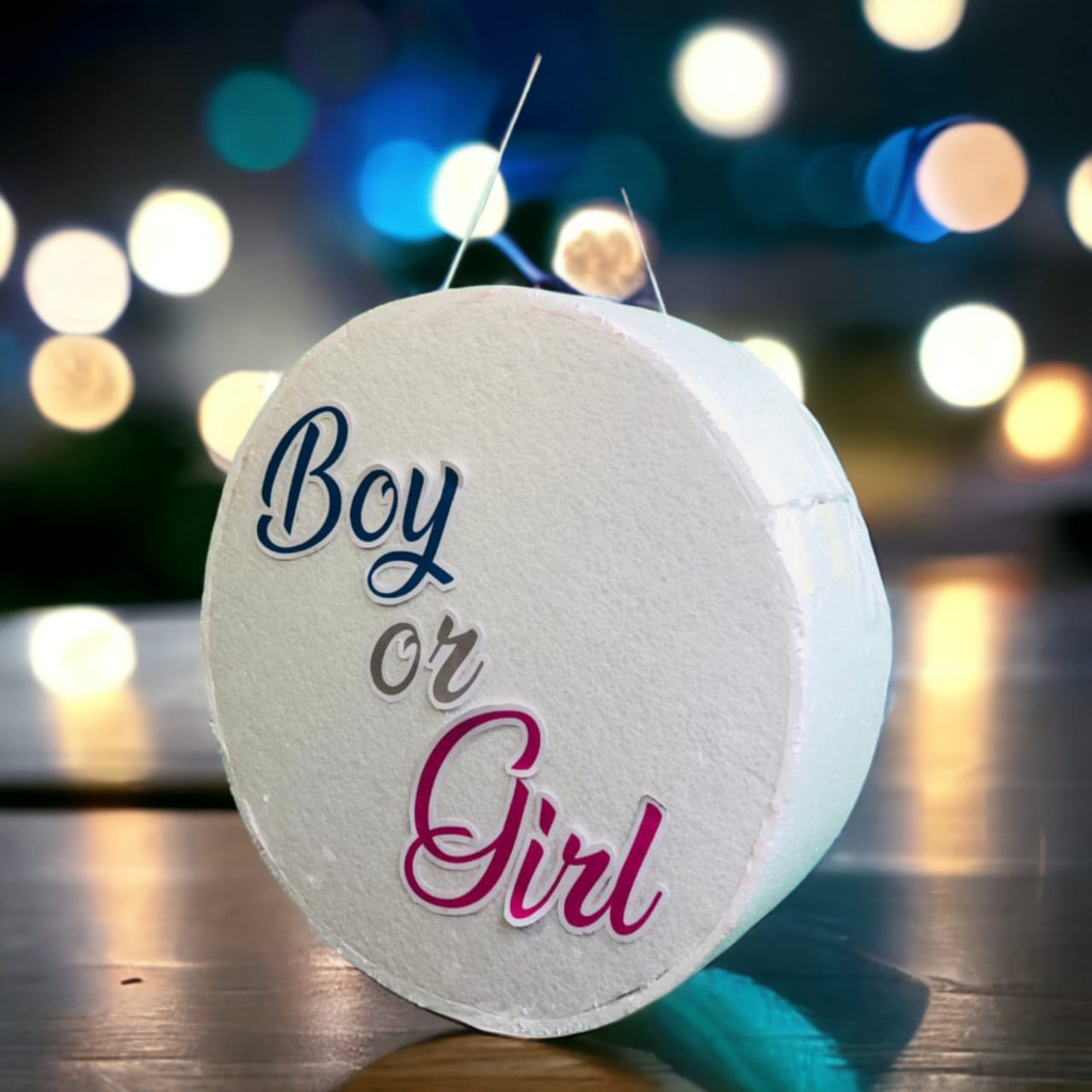 Pinata Gender Reveal