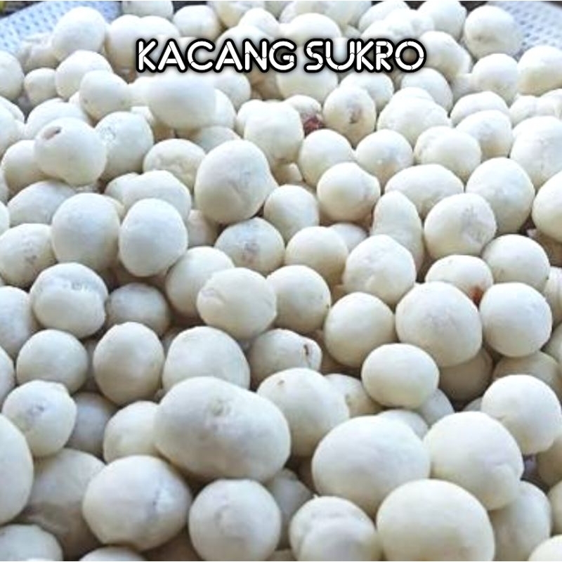 

Kacang Sukro kacang atom renyah gurih 500gr