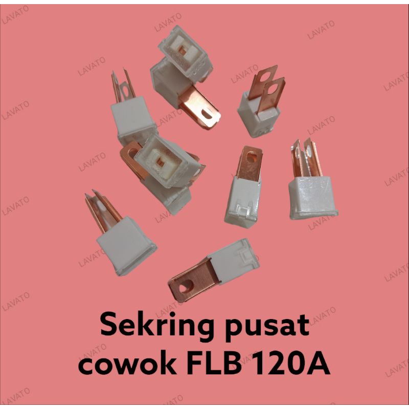 Sekring pusat cowok FLB 120A