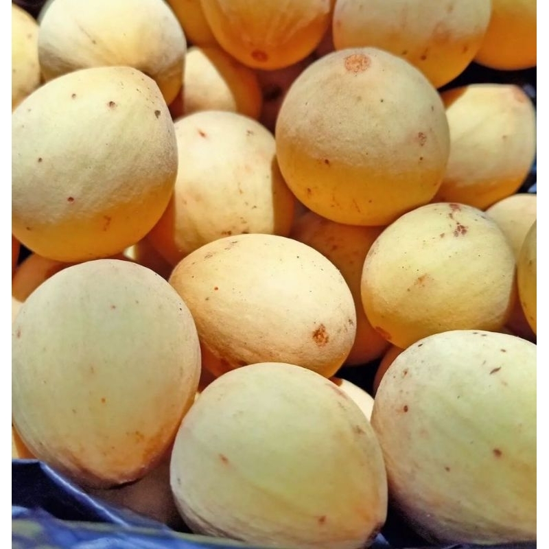 

DUKU PALEMBANG || BUAH DUKU PALEMBANG MANIS KHUSUS JABODETABEK