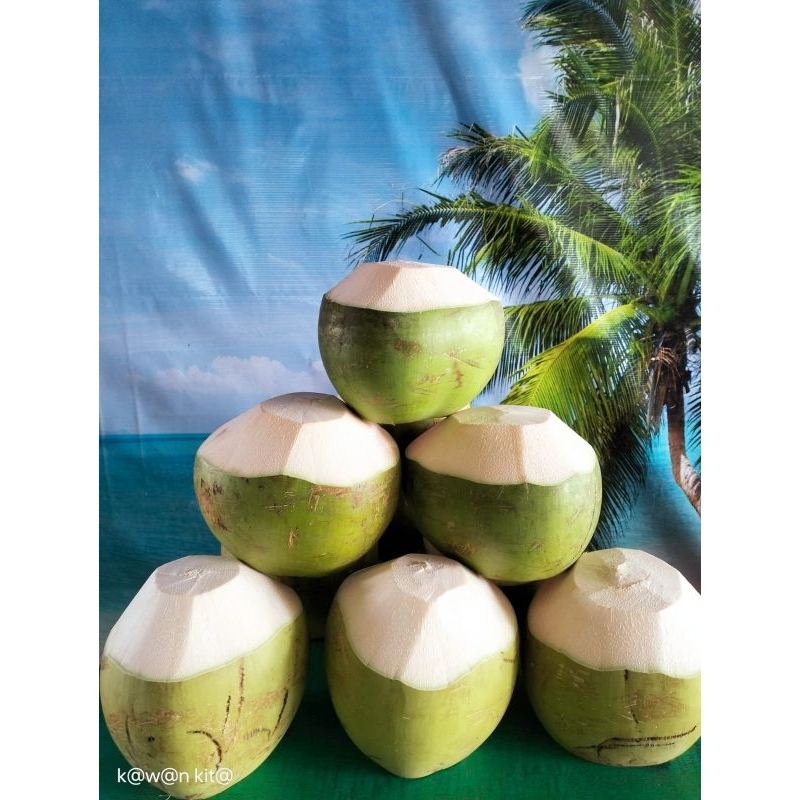 

kelapa muda es kelapa muda segar