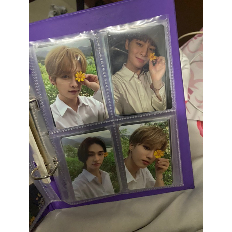 

PC StrayKids all