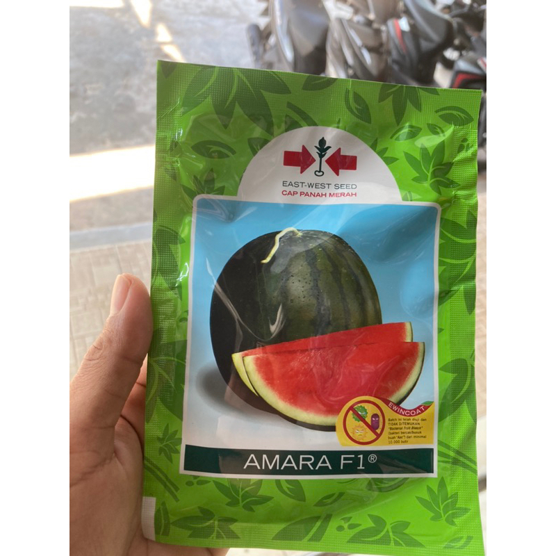 

Semangka AMARA F1 isi 360btr