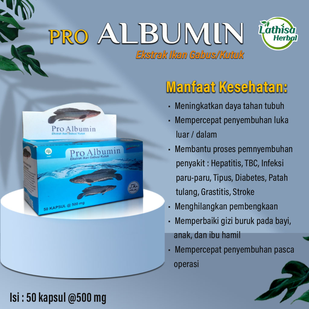 Pro Albumin Kapsul Ikan Gabus Obat Pra Operasi Cesar