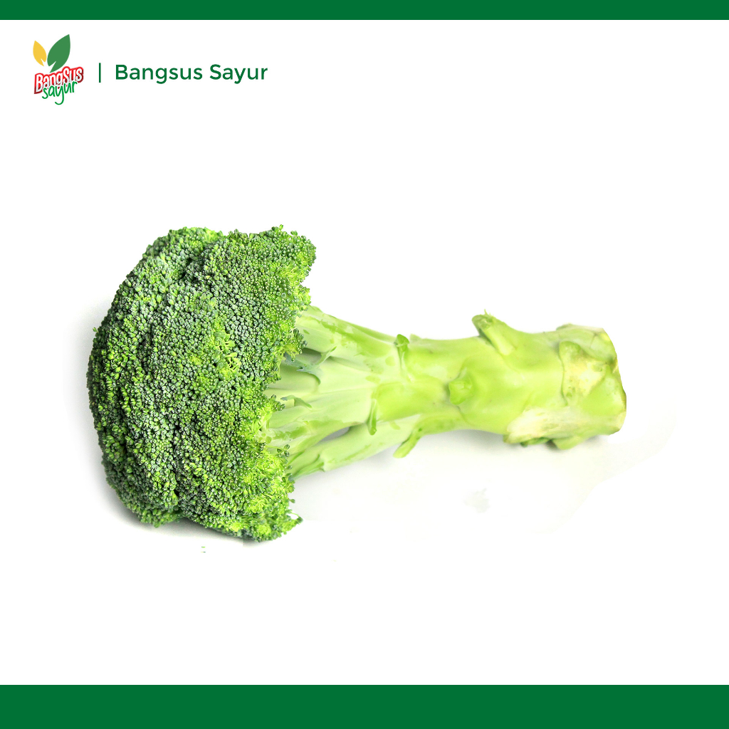 

Brokoli 500Gr Segar Murah