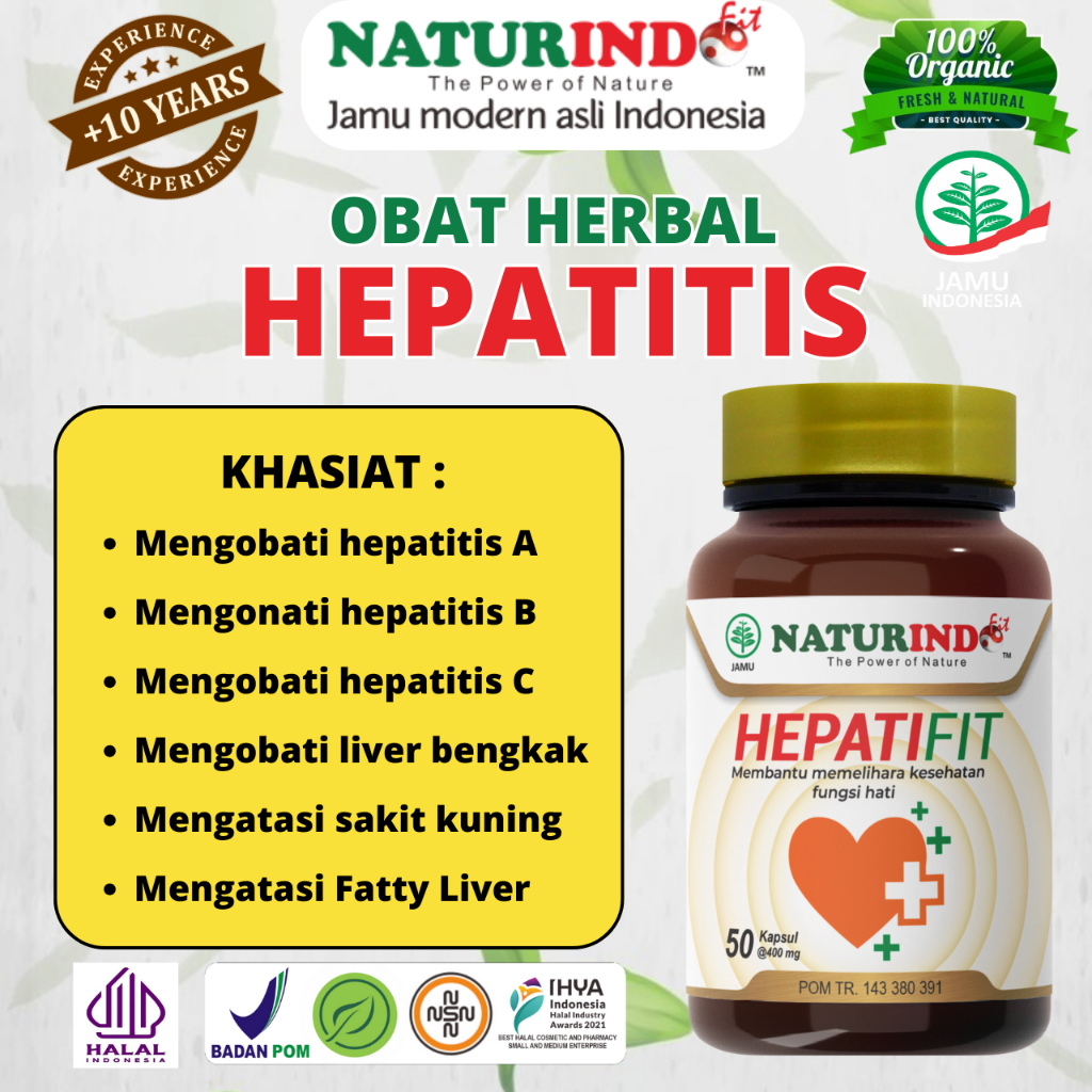 Obat Ampuh Spesialis Hepatitis b Ampuh Sembuh Total Kronis Liver