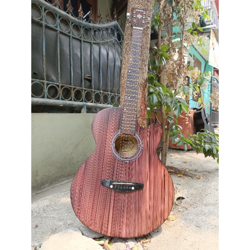 Gitar Akustik Yamaha Fg225 Custom + Tas, Capo, pic, Kunci L
