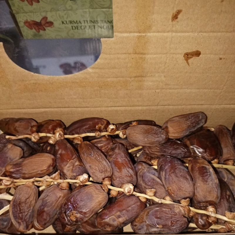 

Kurma Palm Tangkai Sultan Tomour Tunisia ( Joban Kurma )