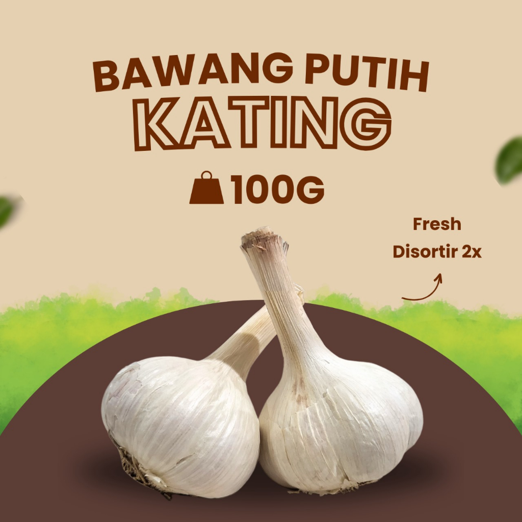 

Bawang Putih Kating 100G Premium (tidak ada yang busuk)