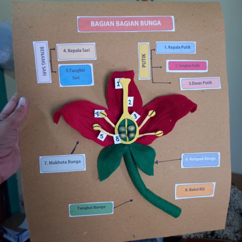 

Hiasan kelas Tema tanaman