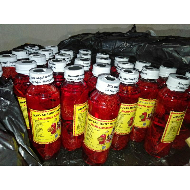 minyak urut asli khas dayak kalimantan borneo
