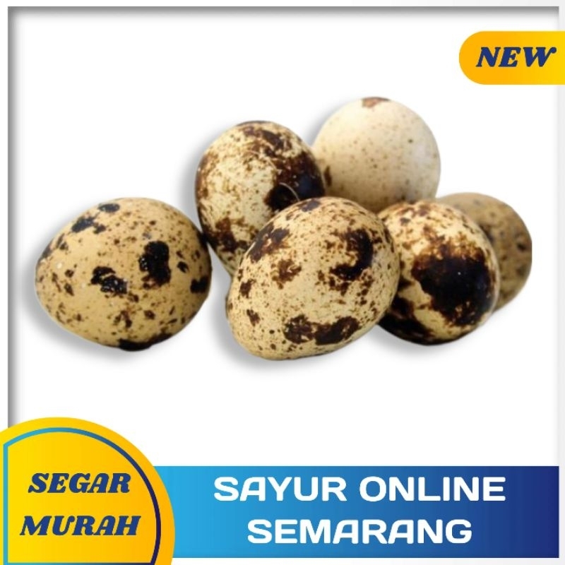 

TELUR PUYUH MATENG ISI 10