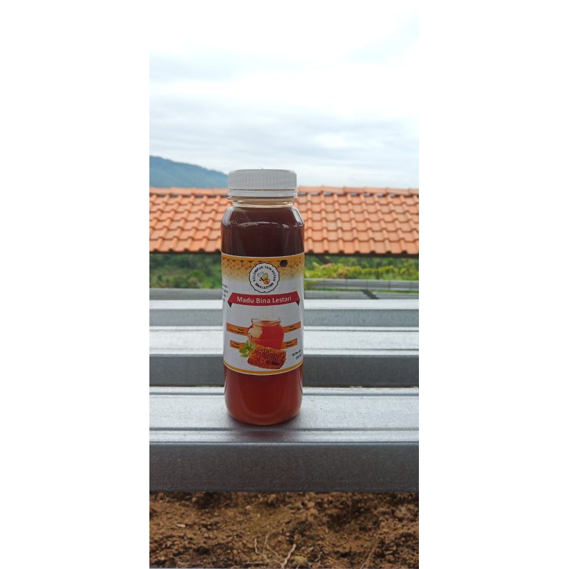 

Madu Dorsata/Odeng