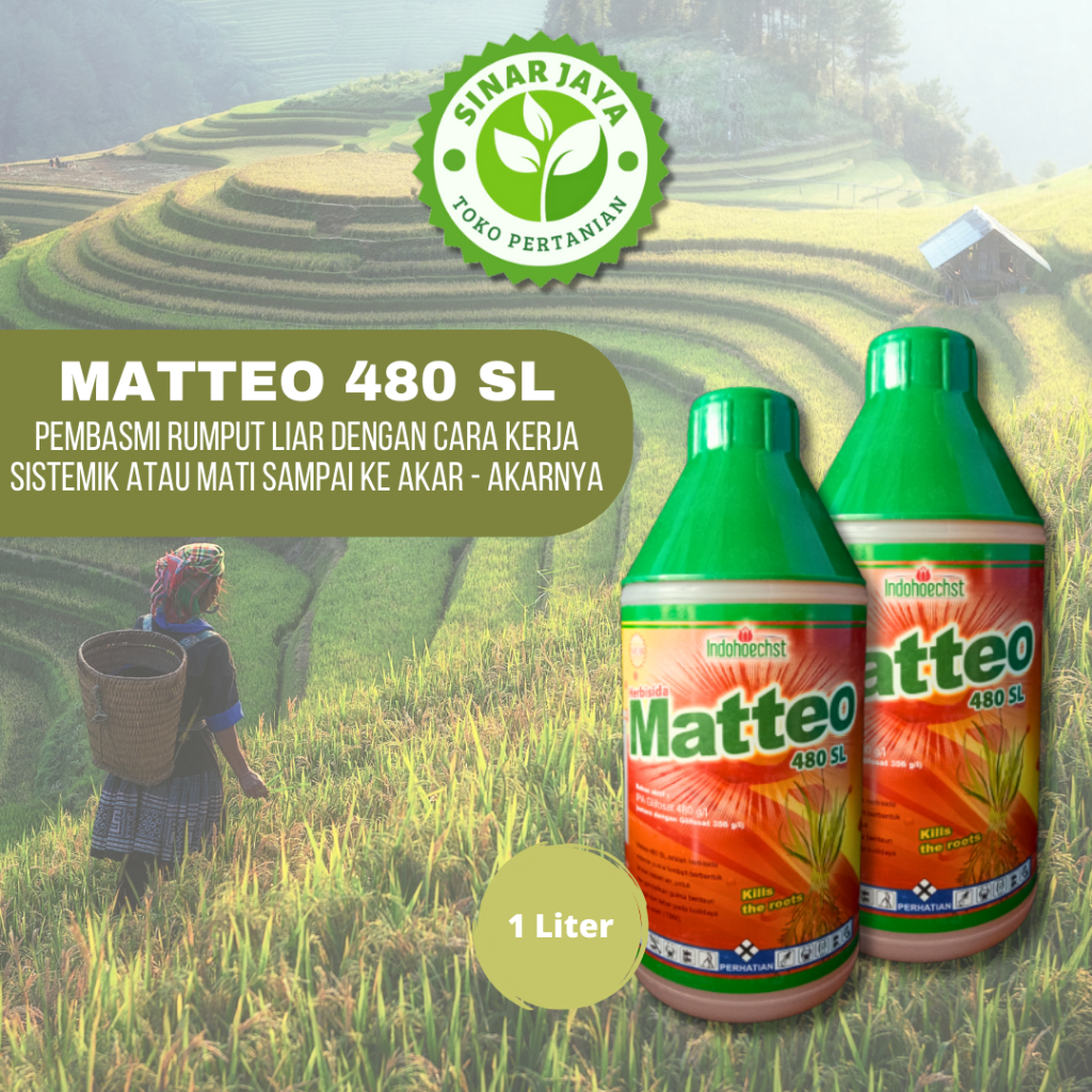 Matteo 480 SL 100% ORIGINAL Herbisida Pembasmi Rumput Liar - 1 Liter