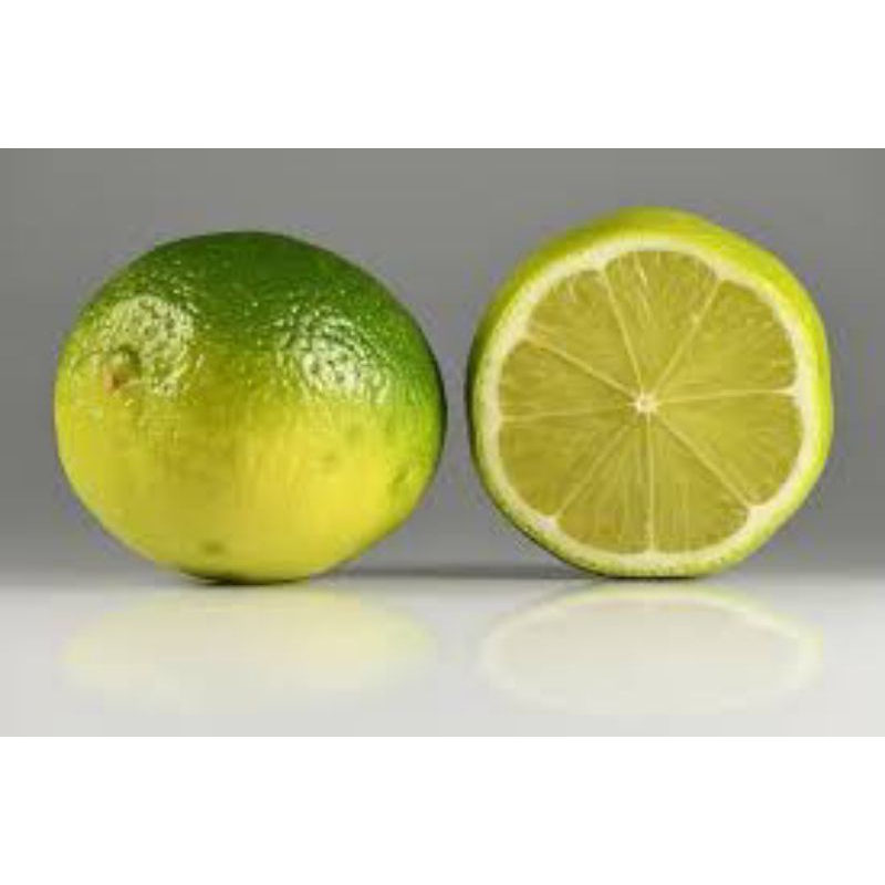 

jual jeruk nipis besar harga promo 1kg