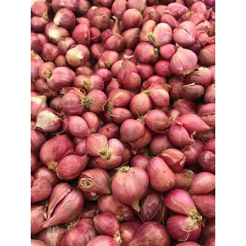 

Bawang Merah 1kg