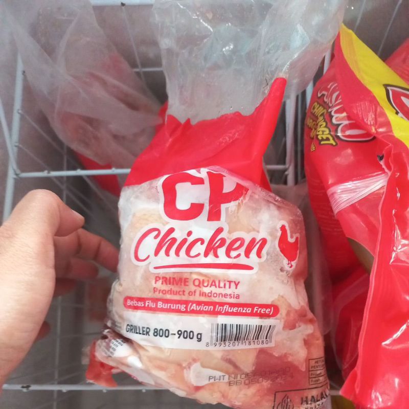 

ayam potong Cp 800-900grm