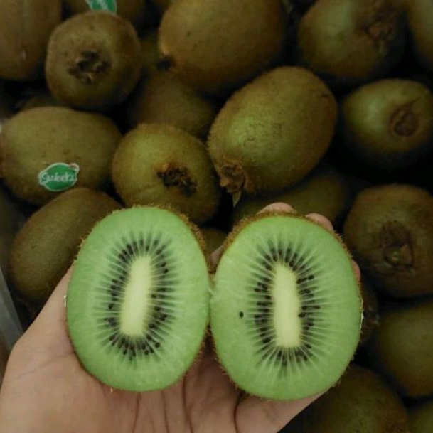 

Kiwi Green dan Gold per 500gr - 1000gr